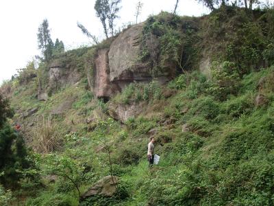 九龍村便民服務(wù)中心工程建設(shè)場地地質(zhì)災(zāi)害危險性評估